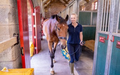 Can Contaminated Horse Bedding Cause a Failed Doping Test?